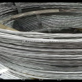 Strand de PC em liga retardada 6.5